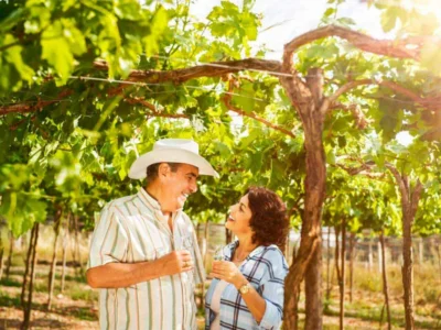 Tour por la Ciudad de Ica | Cultura, Bodegas y Plaza de Armas Tour por la Ciudad de Ica | Cultura, Bodegas y Plaza de Armas