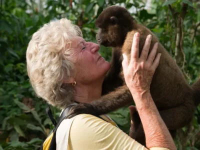 Tour Isla de los Monos & Colpas de Árboles | Amazonía Peruana