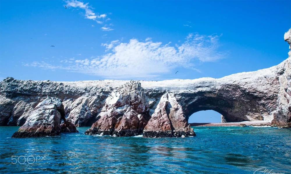 Paracas y Huacachina 2 Días | Islas Ballestas y Buggy en el Desierto