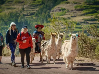 Alpaca Terapia & Arte Inca | Experiencia Andina en Cusco