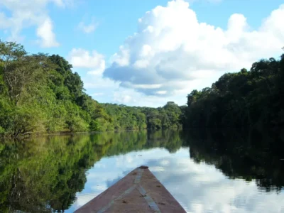 Tambopata Selva Viva 4 Días | Lago Sandoval + Isla de los Monos