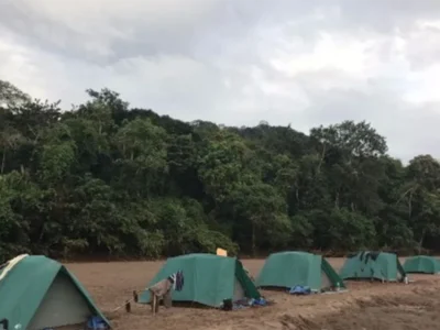 Campamento Amazónico en Pariamanu | Tour Tambopata Natural 2D/1N Campamento Amazónico en Pariamanu | Tour Tambopata Natural 2D/1N